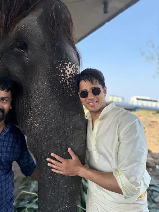 हाथी को पानी पिलाते सिद्धार्थ मल्होत्रा को देख भड़के यूज़र्स, बोले- ये गणेश जी का स्वरूप है