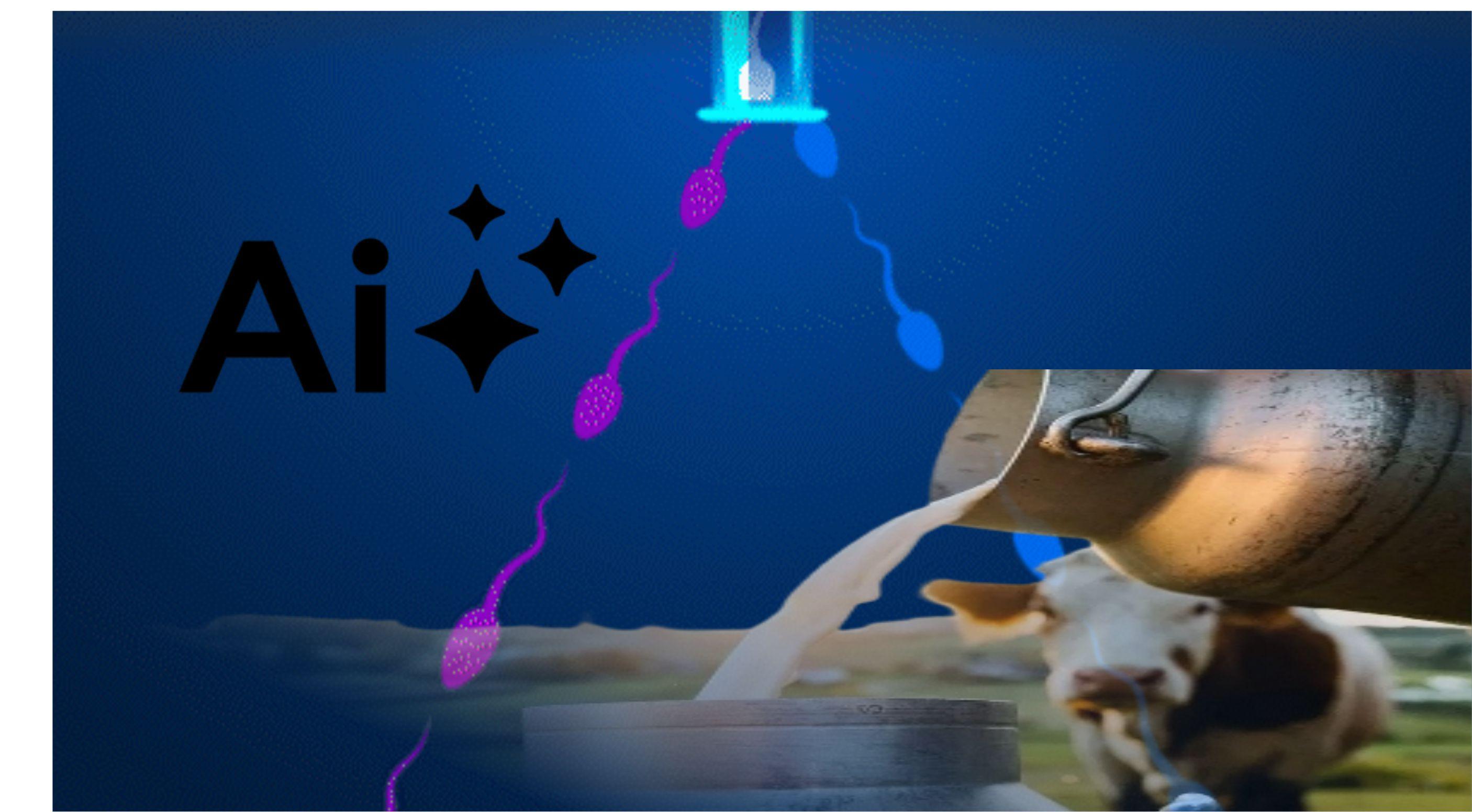 गाय की बछिया पैदा करने के लिए AI का इस्तेमाल :