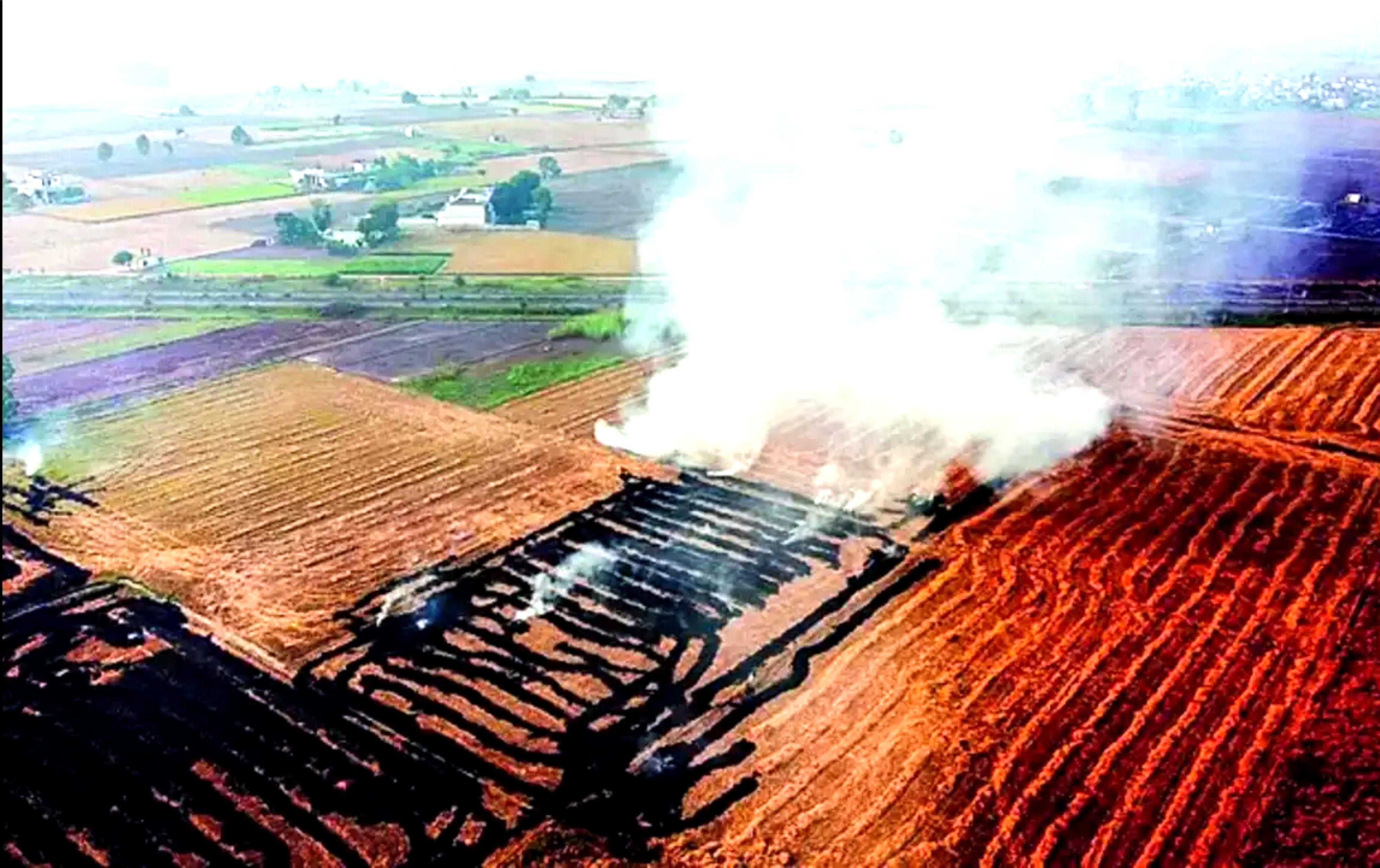 सुप्रीम कोर्ट ने पूछा- पराली जलाने पर गिरफ्तारी क्यों नहीं